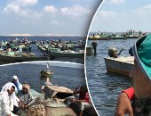 صور.. مصر تنتصر على الإرهاب.. عودة حركة الصيد ببحيرة البردويل شمال سيناء بعد توقف 5 أشهر.. 7 آلاف أسرة بـ 15 قرية يستفيدون بالقرار.. والأسماك تنعش حياة الصيادين وعمال اليومية والسائقين والعاملين بصيانة المراكب