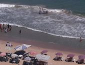 اضبط مخالفة: حصان يستحم على شواطئ الإسكندرية بجانب المصطافين.. صور