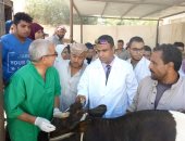 صور.. قوافل بيطرية لعلاج الحيوانات بالمجان بالتعاون مع "طب بيطرى" مطروح