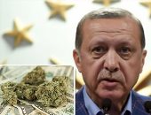 أردوغان يلمح لاستعداد بلاده استخدام العملة المحلية في التجارة مع 3 دول