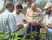 صور.. "الزراعة" تشكل لجان مرورية لمكافحة دودة اللوز فى محصول القطن لزيادة الانتاج