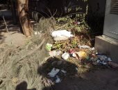 شكوى مصورة تكشف انتشار أكوام القمامة فى شارع الثورة بالدقى  