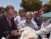 وزير الزراعة يفتتح موسم جنى القطن ببنى سويف.. والمحافظ: زراعة 10294 فدان 