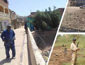 بعد وفاة طفل بالملاريا الخبيثة.. "الصحة": أسرة نقلت الإصابة من تنزانيا لأسوان ولا تمثل خطورة.. الأب وابنه الثانى يتلقيان العلاج.. "الطب الوقائى" تجرى مسحا بشريا وحشريا.. ونتائج التحاليل تؤكد سلامة الزوجة