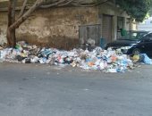 قارئ يشكو انتشار القمامة بتقاطع شارعى لطفى حسونة وبولس حنا بالدقى