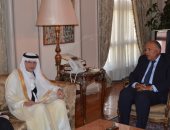 وزير الخارجية يؤكد أن مصر تدعم الجهود المبذولة لخدمة قضايا الشعوب الإسلامية