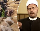 جدل فقهى حول "صكوك الأضاحى"..  شيخ أزهرى يدعو لوقف التعامل بها ويشرح الأسباب.. المتحدث باسم الأوقاف: لو كان إماما بالوزارة لأوقفته والصكوك ليست محل نقاش.. علماء: الهدف إطعام الفقراء ولو عبر مؤسسة وسيطة