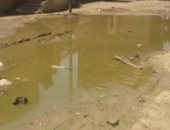 قارئ يشكو من انتشار مياه الصرف الصحى فى قرية كلح الجبل بأسوان