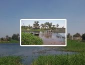 الرى: تنفيذ 2308 إزالات على نهر النيل والمجاري المائية على مدار أسبوعين