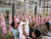 استعداد للعيد.. حملات بأسواق اللحوم ورقابة مشددة للحد من الذبح خارج المجازر