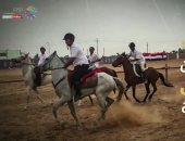 شاهد في دقيقة.. أبرز 8 معلومات عن مهرجان الخيول بالشرقية