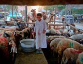 صورة اليوم...من صغره.. ليه فى شوادر العيد علامات