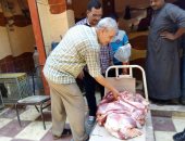 صور.. ضبط مجمدات وسلع و لحوم فاسده بأسيوط 