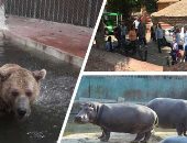 إجراءات عاجلة لحماية حديقة حيوانات الجيزة و7 حدائق إقليمية من الموجة الحارة