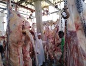 ضمن مشروع صكوك الأضاحى.. "الأوقاف" تبدأ الذبح فى أبو سنبل