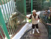 حديقة الحيوان تستقبل زوارها فى أول أيام عيد الأضحى