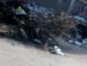 شكوى من انتشار القمامة بشارع منشية التحرير بعين شمس