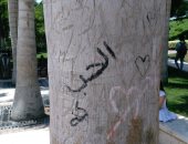 صور.. "الحب ولع فى الشجر".. عشاق حديقة الأزهر يشوهون أشجارها