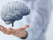 هل الإصابة بالجفاف تؤثر على وظائف المخ؟.. دراسة علمية تجيب