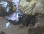 قارئ يشكو من تراكم القمامة بشارع حسن الحداد قرية كوم بنى مراس بالمنصورة