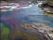 شاهد..نهر كولومبيا ومياهه الملونة بفضل النباتات به
