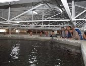 صور.. رئيس جامعة بنها يفتتح المزرعة السمكية بكلية الزراعة 