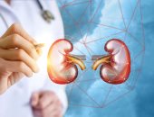 مش بس الجهاز التنفسى.. تلوث الهواء يهدد صحة الكلى