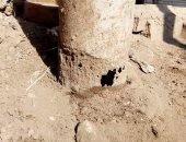 اضبط مخالفة عامود إنارة متهالك يهدد حياة المواطنين بالباجور فى المنوفية