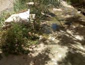 مدرسة بالسويس تغرق فى مياه الصرف الصحى قبل بداية العام الدراسى