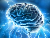 باحثون يطورون شريحة إلكترونية تزرع فى الدماغ للوقاية من نوبات الصرع