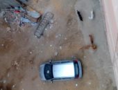 انتشار الكلاب الضالة فى شارع وادى النيل بمنطقة كورنيش المعادى 