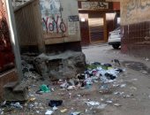 صور.. القمامة تحاصر مدينة زفتى بالغربية وسط غياب لمجلس المدينة 