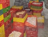 صور.. سقوط مدير مصنع لتعبئة أرجل دواجن فاسدة.. ويعترف: بصدرها للصين