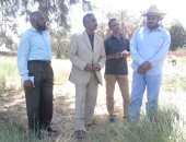 رئيس مركز الداخلة يتفقد مزرعة حكومية بالشيخ والى ويوجه بزراعة الخضراوات 