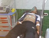 إصابة عامل بلدغة ثعبان فى قرية الشافعى بالبحيرة