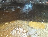 شكوى من انتشار مياه الصرف الصحى بقرية فرسيس بمحافظة الغربية 