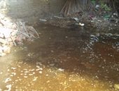 شكوى من انتشار مياه الصرف بشوارع فرسيس فى الغربية