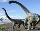 علماء يعثرون على "الديناصور المحارب" آخر الطيور الجارحة فى نيو مكسيكو