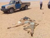 العثور على جثث مهاجرين غير شرعيين مصريين فى صحراء الجغبوب الليبية