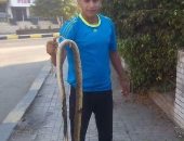 صور. العثور على ثعبان بمديرية الشباب والرياضة بالقليوبية 