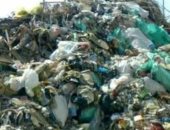 قارئ يشكو انتشار القمامة أمام مدرسة بأرض الميرى بالبحيرة