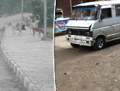 دفتر أحوال المواطن.. "سيارات بلا لوحات" مشهد متكرر بشارع الملكة فى الجيزة.. قارئ يشكو سوء خدمات مستشفى قرية أبو غنيمة بكفر الشيخ.. والكلاب الضالة تغزو المجاورة 3 بـ6 أكتوبر.. ومساكن الباسل بالسويس تعانى الظلام