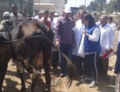 صور.. نائب وزير الزراعة تتفقد حملة التحصين ضد مرض الحمى القلاعية بالبحيرة