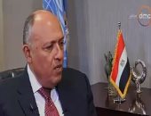 فيديو.. وزير الخارجية: القضية الفلسطينية من أهم القضايا محل النقاش مع الولايات المتحدة