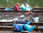 صور.. متظاهرون ألمان يكبلون أيديهم بقضبان القطارات احتجاجا على إزالة غابة