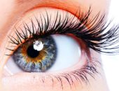 اعرف جسمك.. العين 3 أجزاء مهمة تربطها ما يزيد عن مليون من الألياف العصبية