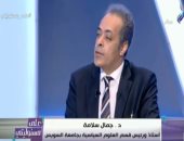 جمال سلامة: الرئيس السيسى يفتح آفاقا جديدة للسياسة المصرية الخارجية