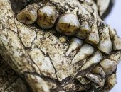 اكتشاف هياكل عظمية بشرية فى البرازيل ترجع لـ6000 سنة كاملة الأسنان