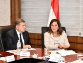 التخطيط تشكل لجنة لوضع النظام الأساسى للصندوق السيادى وإصداره أكتوبر المقبل