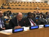 شكرى: مصر لن تدخر جهداً لتحقيق سلام عادل وشامل يكفل حقوق فلسطين